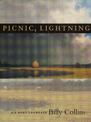 cover image of Picnic, Lightning